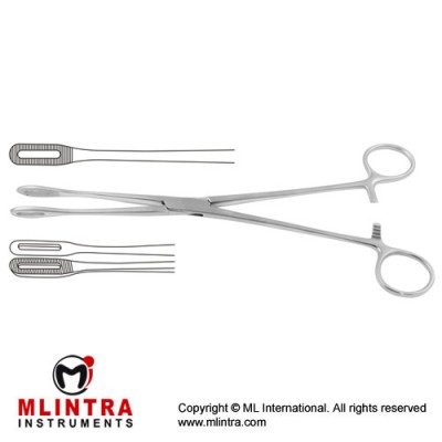 Foerster Sponge Holding Forcep Curved Stainless Steel, 24.5 cm - 9 3/4"